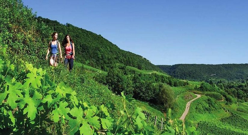 Le Pays basque s’explore grâce aux randonnées à partir d’un camping