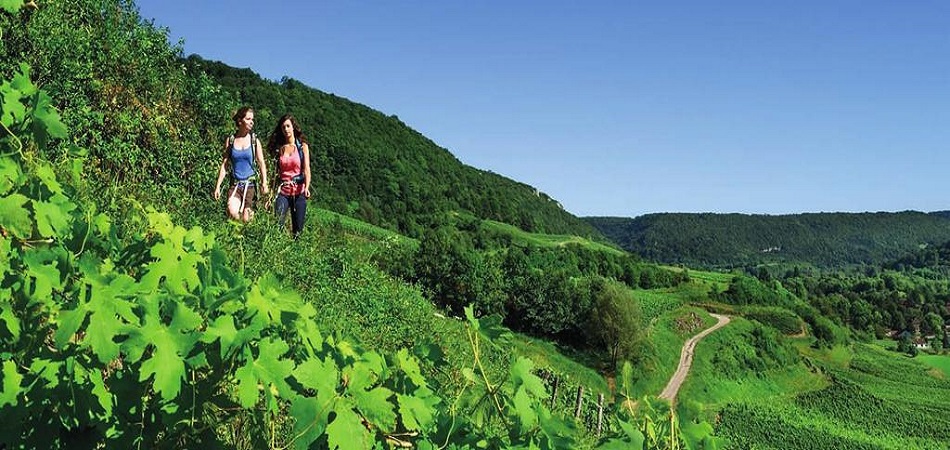 Le Pays basque s’explore grâce aux randonnées à partir d’un camping